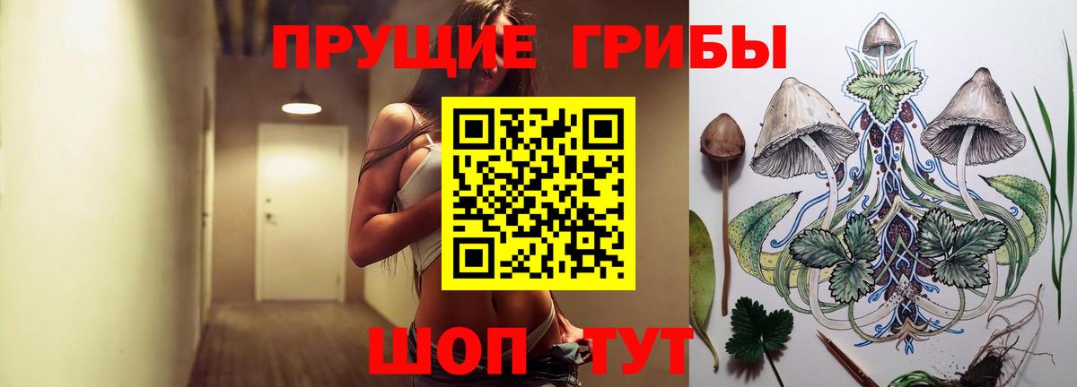 Гурьевск  Галлюциногенные грибы мухоморы  наркота  Вход с VPN 